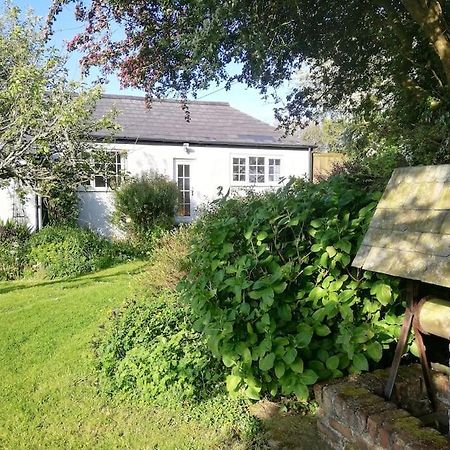 Cozy Country Cottage With Beautiful Rural Views New Quay Esterno foto
