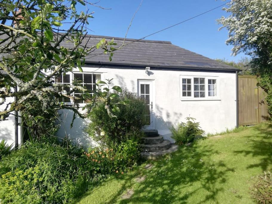 Cozy Country Cottage With Beautiful Rural Views New Quay Esterno foto